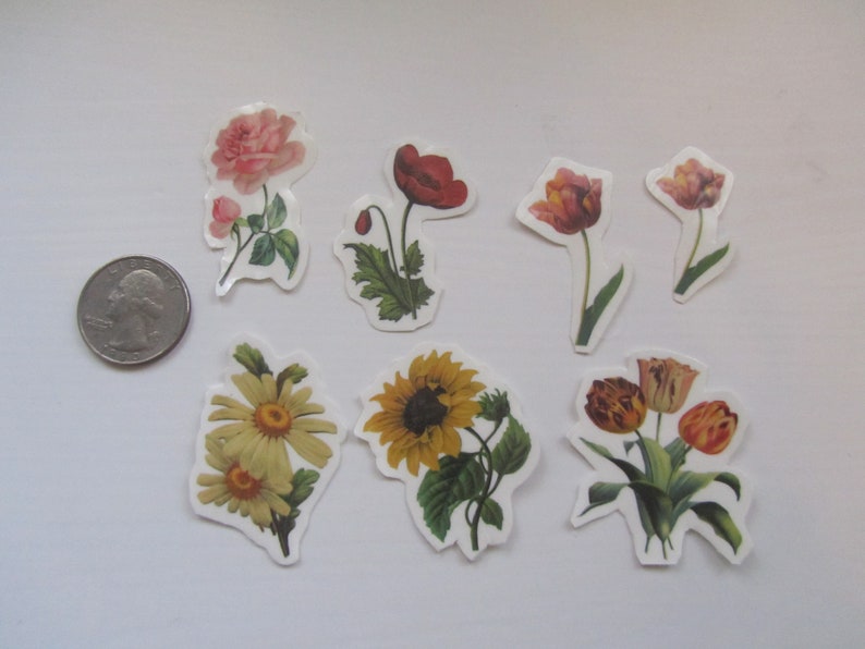 TEMPORARY TATTOO Set of 4 OR Set of 7 Vintage Florals image 7