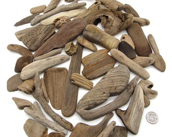 50 Genuine Driftwood Pieces! Vintage Beachcombed Driftwood in Curious Shapes / Nautical Upcycled Wood Crafts Supplies
