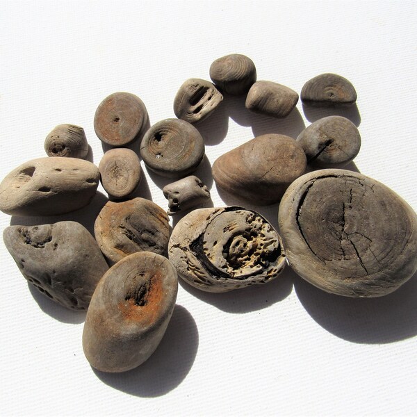 Driftwood Circle Etsy