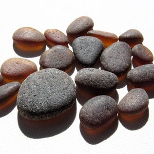 Amberbruine cirkels van zeeglas! Set van 17 glasnuggets op het strand, op natuurlijke wijze door golven gedragen in zeldzame cirkels en ovale vormen