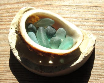 Teal Blue Sea Glass in Sea Shell Nest / Beach Glass Pieces / Upcycled Beach Finds / Sea Glass Gifts / Vintage Sea Pottery / Beach Decor