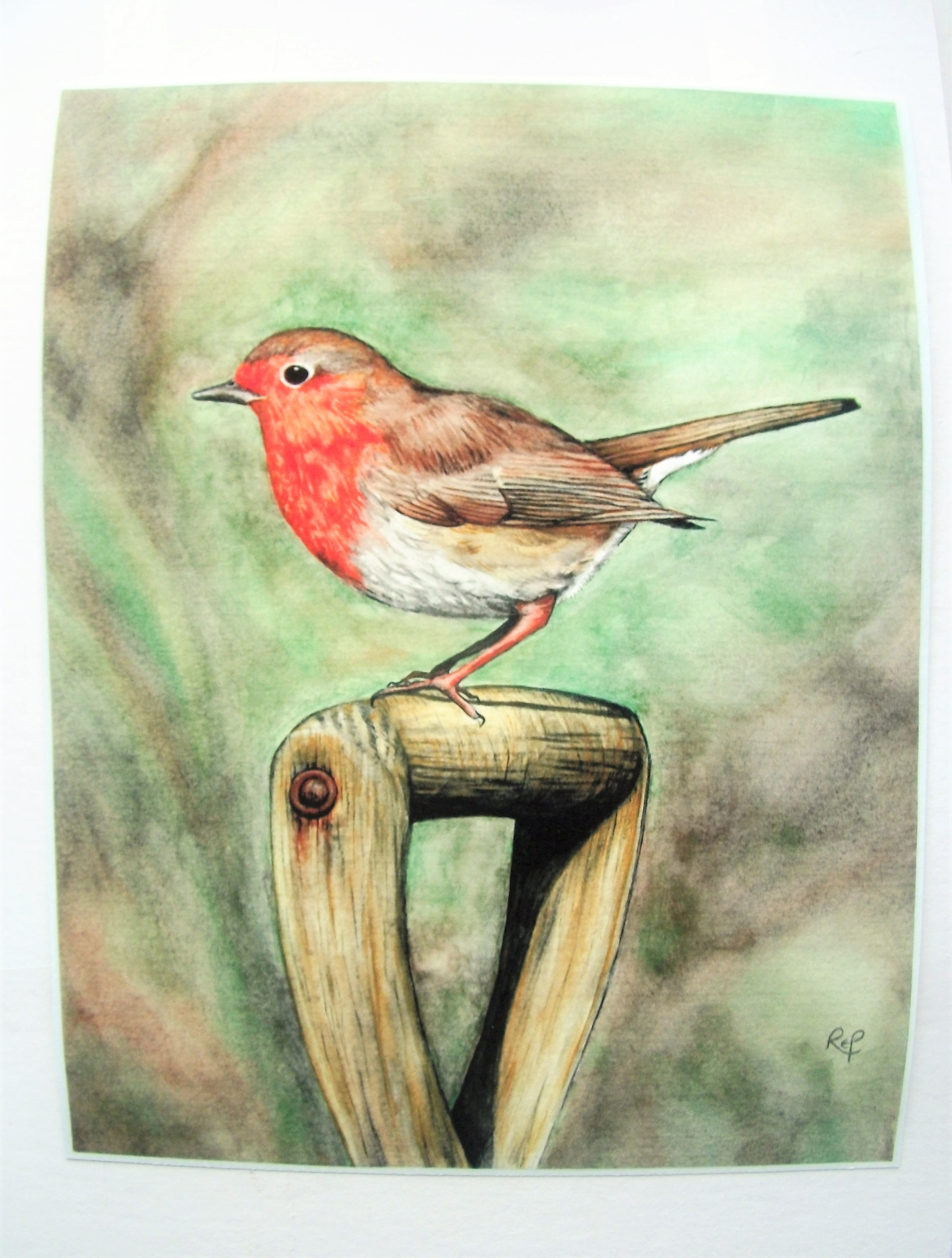 Robin Art Print. Limited edition print. Red robin picture. Etsy