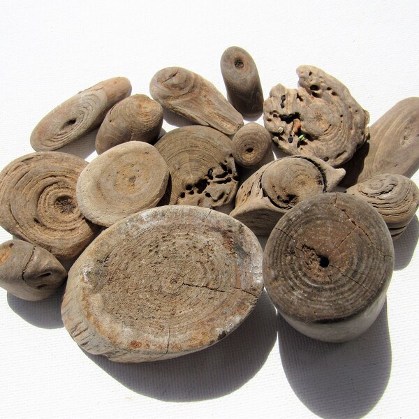 Driftwood Circle Etsy