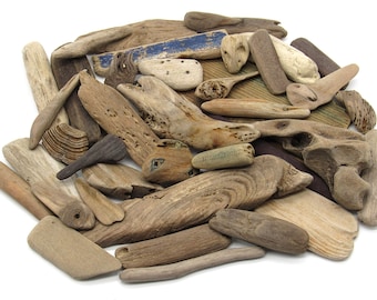 38 Genuine Driftwood Pieces! Vintage Beachcombed Driftwood in Curious Shapes / Nautical Upcycled Wood Crafts Supplies
