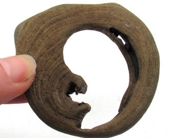 Unique Driftwood Circle Piece with Inner Baby Shape! Beachcombed Driftwood Curio Find / Upcycled Craft Supplies / Beach Decor / New Baby