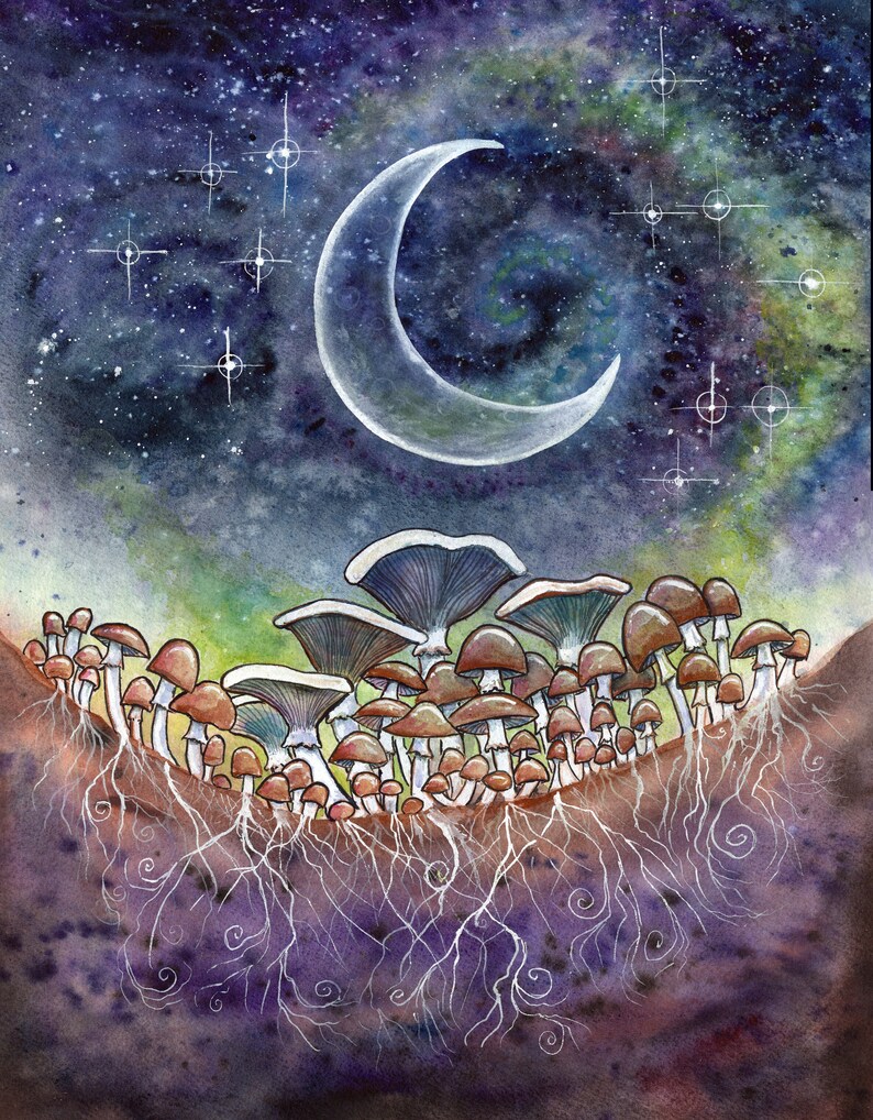 May include: Watercolour painting of a crescent moon and stars in a night sky above a field of mushrooms. The mushrooms are brown and white with white roots extending from the ground.
