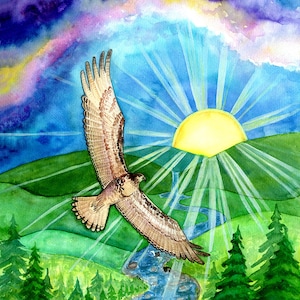 May include: A watercolour painting of a hawk flying towards a bright yellow sun in a blue sky. The hawk is brown and white with a long tail. The sun is surrounded by rays of light. The background is a green landscape with a river flowing through it.