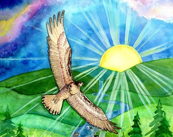 Impresión artística mate de alta calidad de Hawk of May