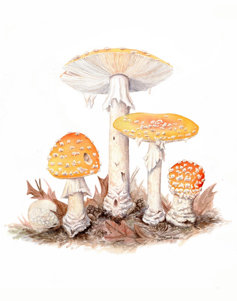 May include: A set of three ceramic mugs with a speckled, matte finish. The mugs are in shades of cream, light gray, and dark gray. Each mug has a simple, minimalist design, perfect for coffee or tea.