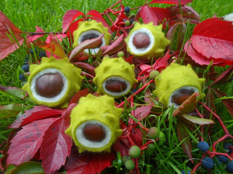 Châtaignier en Vêtements de Mouton