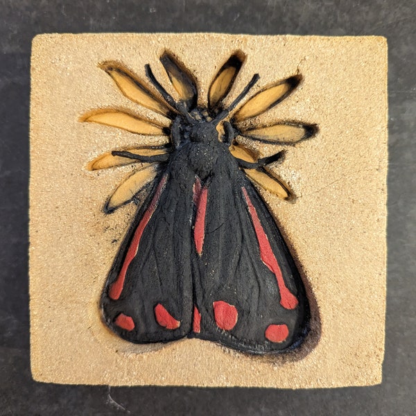 Cinnabar Moth on ragwort, small garden sculpture in stoneware clay mini beast moth, insect, bass relief wildlife decoration affordable art