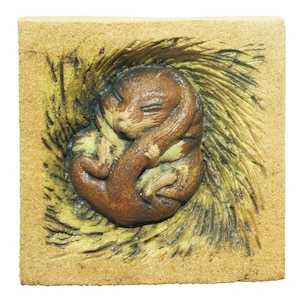 Dormouse wall hanging sculpture, wildlife bass relief stoneware ceramic garden sculpture, sleeping mini beast wildlife art, dormouse in nest