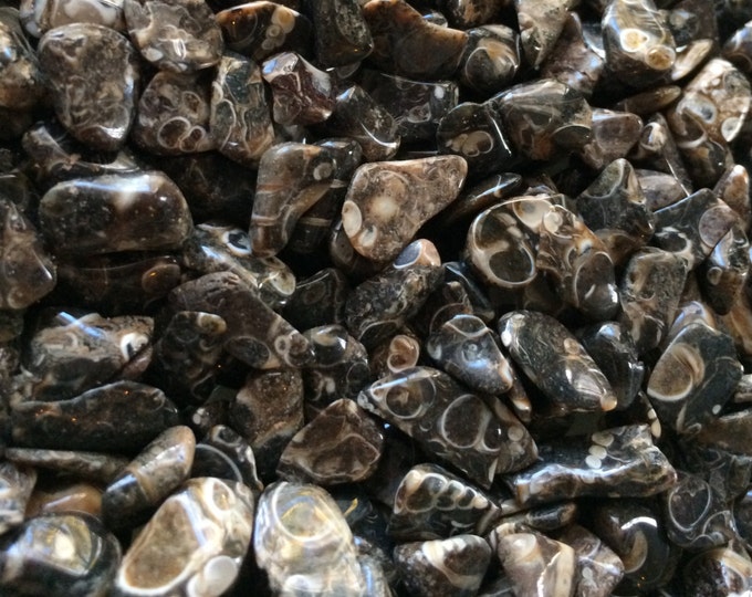Turritella Agate Fossil Gemstone Pebbles, lot of 100 tiny tumble polished loose stone chips for gem trees, crafts, pocket pieces