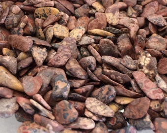Leopardskin Jasper Small Gemstone Pebbles lot of 100 tiny undrilled gemstone chips for stone trees, candles, crystal grid, charms, orgone