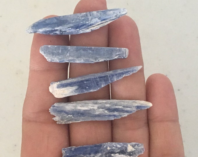 Lot of 5 Small Blue Kyanite Crystals, Natural Unpolished Kyanite Blades, Blue Kyanite Gemstone Specimens, Chakra Clearing, Empath Healing