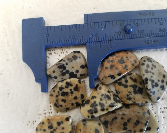 Dalmatian Stone lot of 10 tumbled stones small size 1/2"-3/4" Spotted Dalmation Jasper gemstone crystal grids, orgone, jewelry making crafts