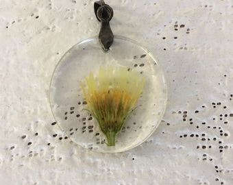 Dried flower pendant, desert wildflower necklace in clear resin, pressed flower 25mm round pendant on brown necklace cord 17-19" adjustable