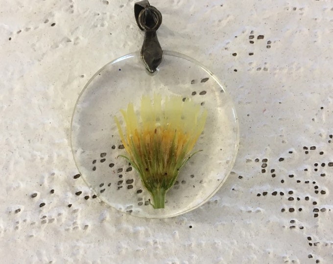 Dried flower pendant, desert wildflower necklace in clear resin, pressed flower 25mm round pendant on brown necklace cord 17-19" adjustable