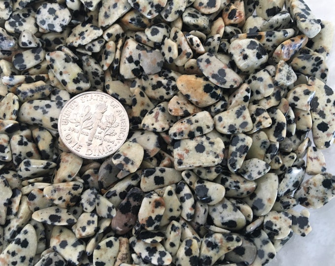 Dalmation Stone Small Gemstone Pebbles lot of 100 tiny undrilled gemstone chips, dalmation jasper crystal grids, orgonite, candles, trees