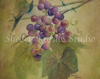 Harvest Grapes, print of watercolor painting by Shelley Kardos, 8x10, purple, gold, green, burgundy