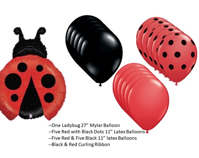 Lady Bug Balloon with red and black latex