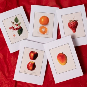 Pomology Fruits Framable Cards 10-Pack -coloré cadeau cuisine décor 5x7 aquarelle végétalien végétarien pomme cerise orange mangue fraise art