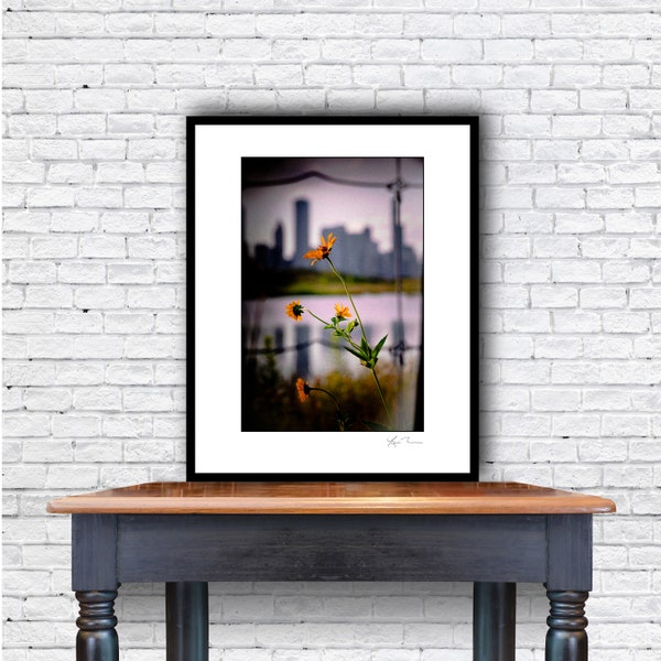 Northerly Island City Wildflower - Photographic Print or Metal Print - Chicago Photography Artwork flowers skyline home holga south loop art