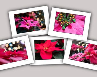 Pretty Poinsettia Holiday Greeting Cards SET OF 10 Christmas Hanukkah flower pink red classic beautiful blooms colorful festive botanic art