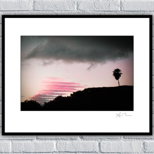 Pink Cloud Sunset - Unframed Photographic Print - Metal or Acrylic Photo Art Hawaii palm tree maui tropical island Hawaiian beach silhouette