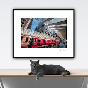 May include: A red train with the word "FUJI" printed on the side is traveling through a modern city with a glass and metal canopy overhead.