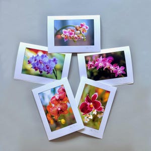 Série Orchidées - Lot de 10 cartes de voeux à encadrer - 2 de 5 motifs - cadeau 5 x 7 photos d'art photo orchidées jardins botaniques de Chicago colorés