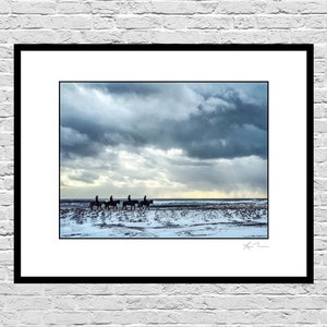 Icelandic Horses in Vik - Photographic Print nature sky colorful clouds black sand beach art decor snow fun Reykjavik cold sunset Iceland