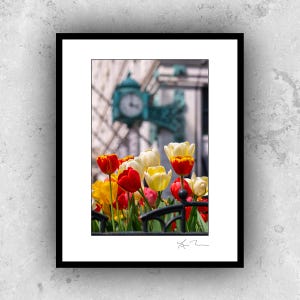 May include: A framed photograph featuring a vibrant display of tulips in red, yellow, and white, set against a blurred background of a building and a vintage clock. The flowers are in full bloom, creating a colorful contrast.