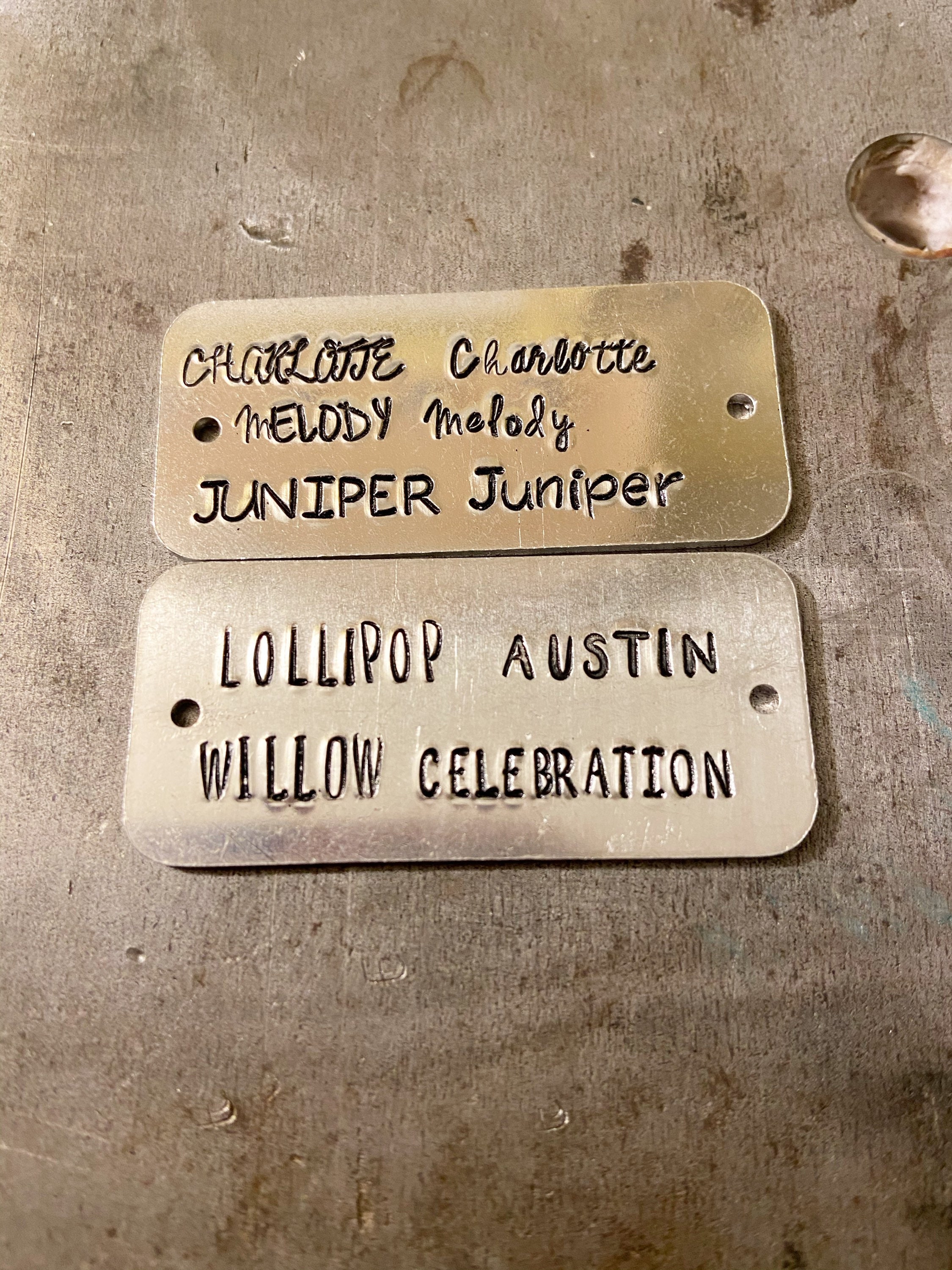 gallery photo
