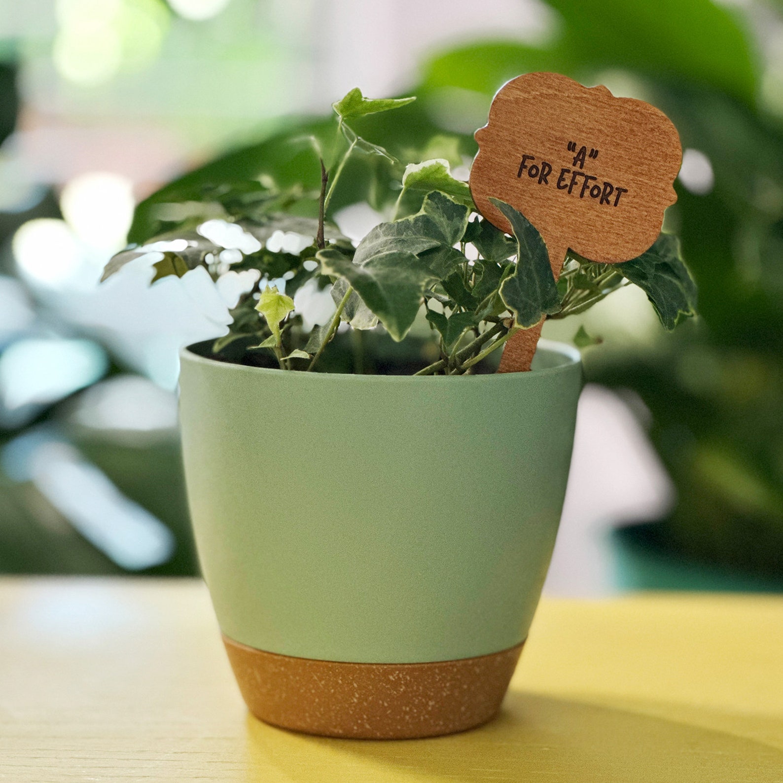 Funny Plant Markers Funny Plant Pun Stakes Plant Sticks Etsy