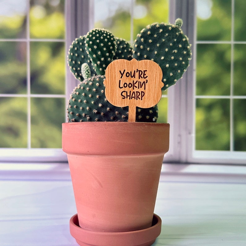 Funny Plant Markers for Succulents Funny Plant Pun Stakes Etsy
