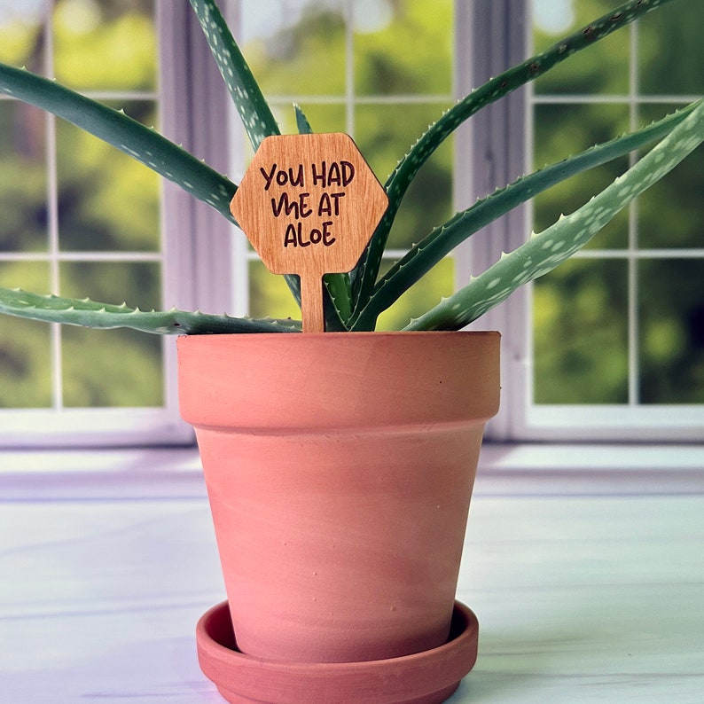 Funny Plant Markers for Succulents Funny Plant Pun Stakes Etsy