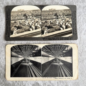 Vistas estéreo antigas de Chicago, fotografias antigas de Chicago, jardas de estoque, túnel Sears Roebuck