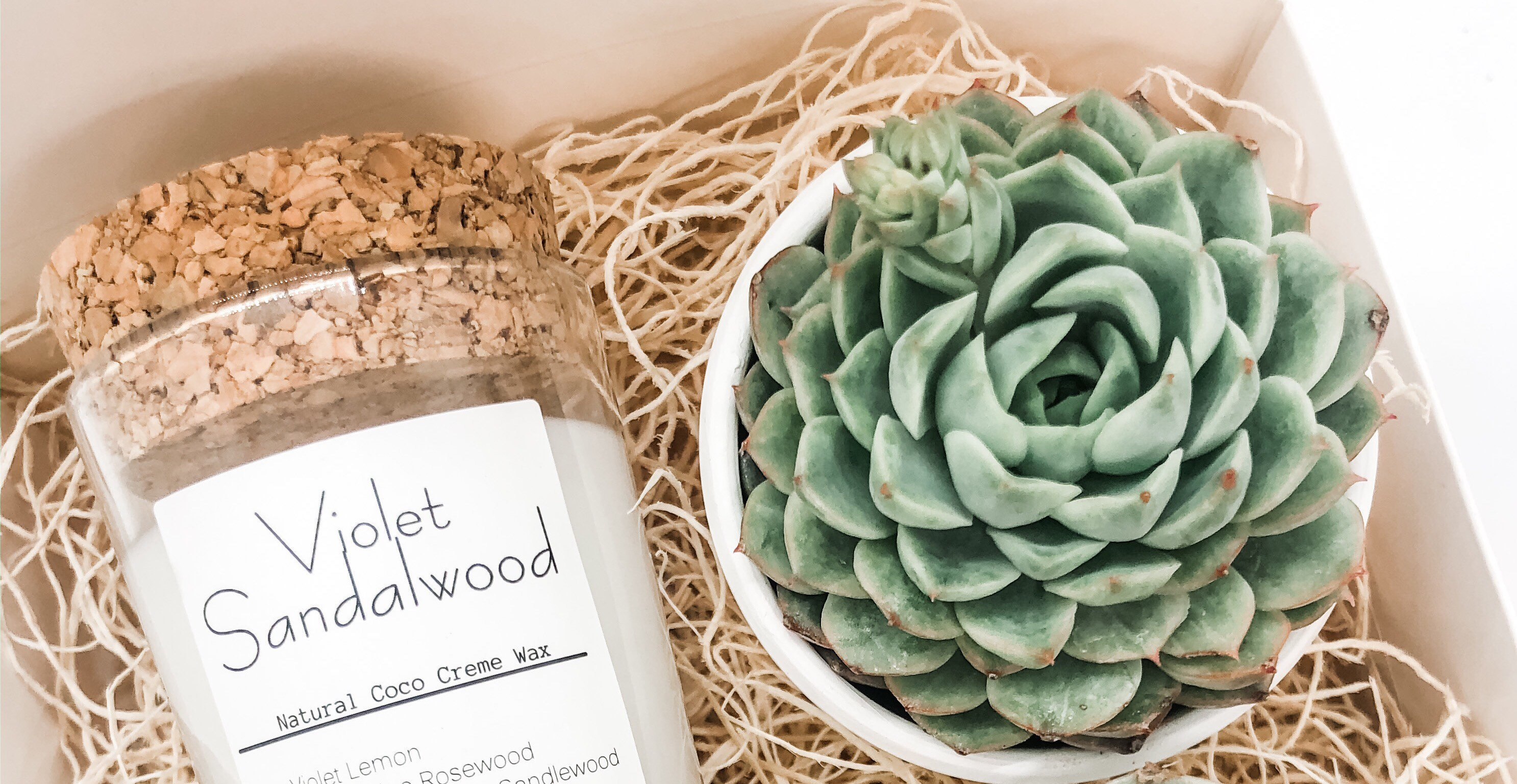 Birthday Gift Box Succulent Gift box set Send a Gift Etsy