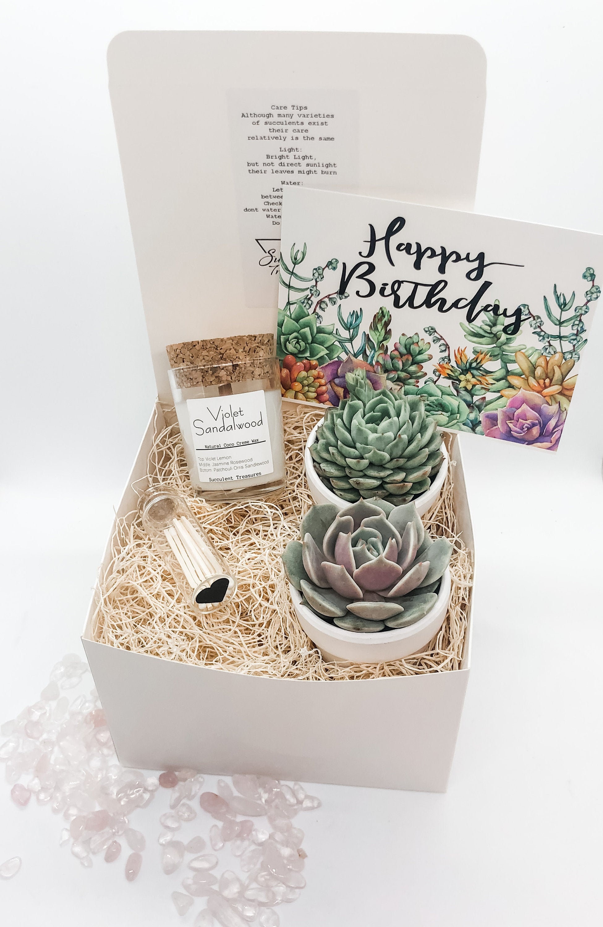 Birthday Gift Box Succulent Gift box set Send a Gift Personalize