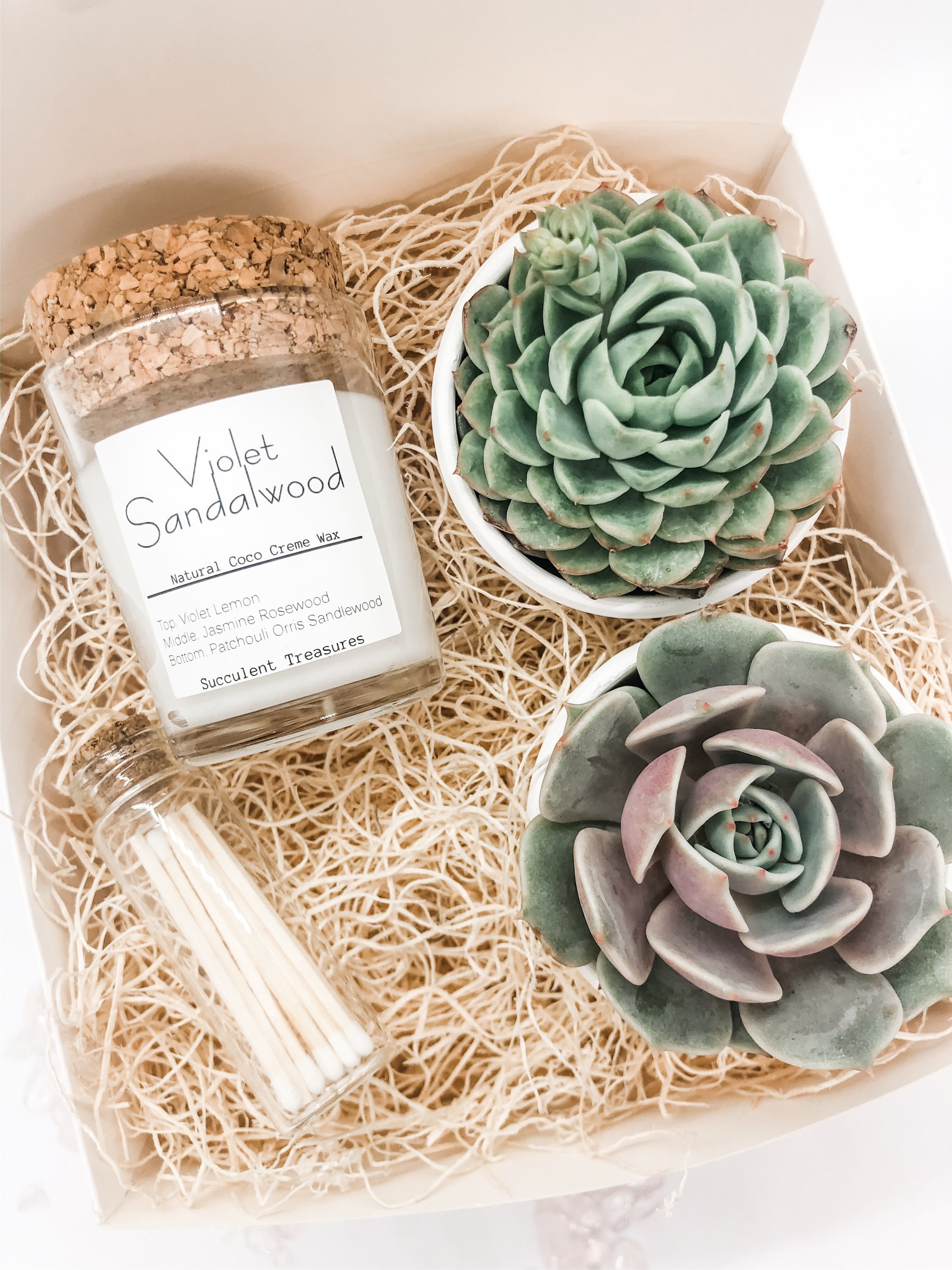 Succulent Gift Box Set Candle Send a Gift Customize