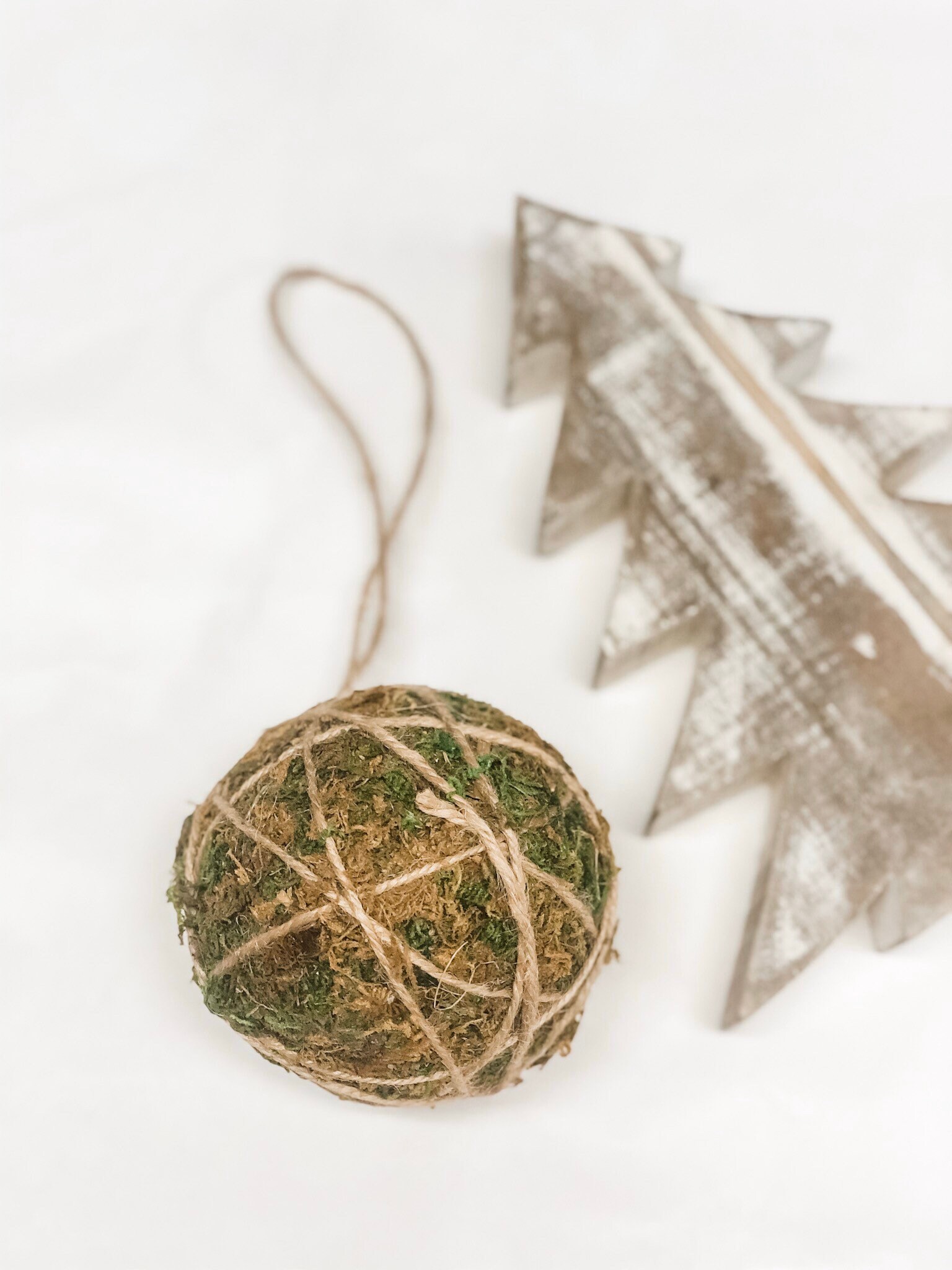 Moss Ball natural Ornament Tree decoration. Urban modern Tree decor