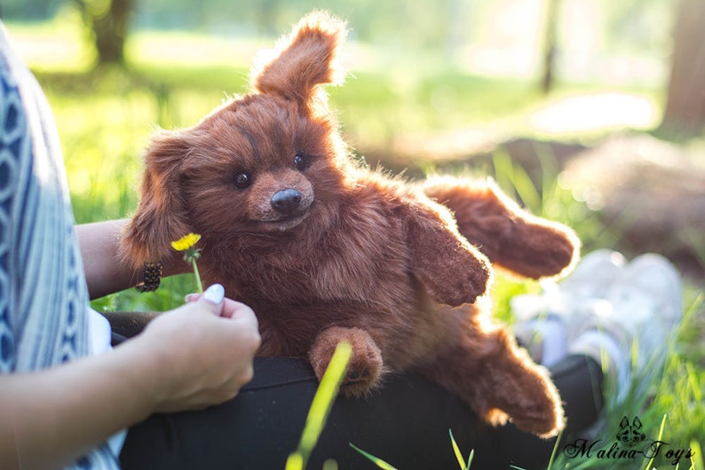 In StockFor Sale Cute puppy Fluffy dog. Dachshund.100 Etsy