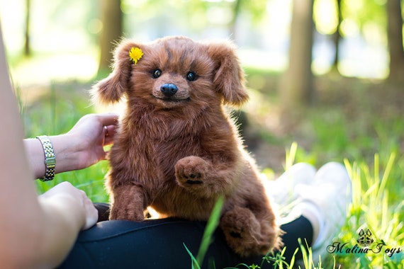 plush puppy puffy dog