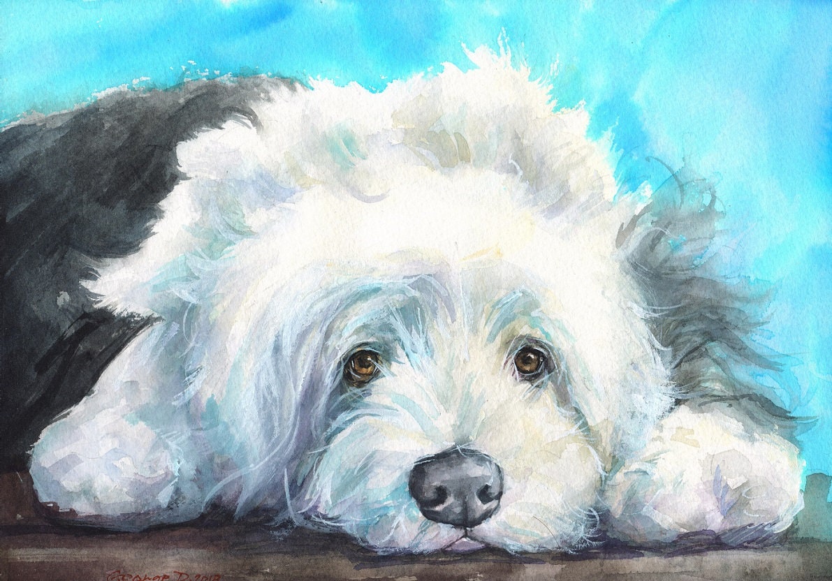 Old English Sheepdog puppy print of the original watercolor Etsy
