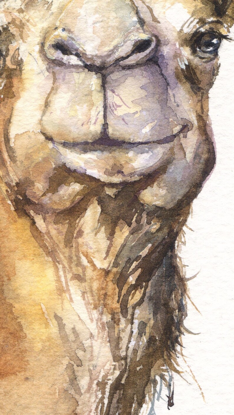 Camel Decor Camel Print Camel Watercolor Camel Wall Art Etsy