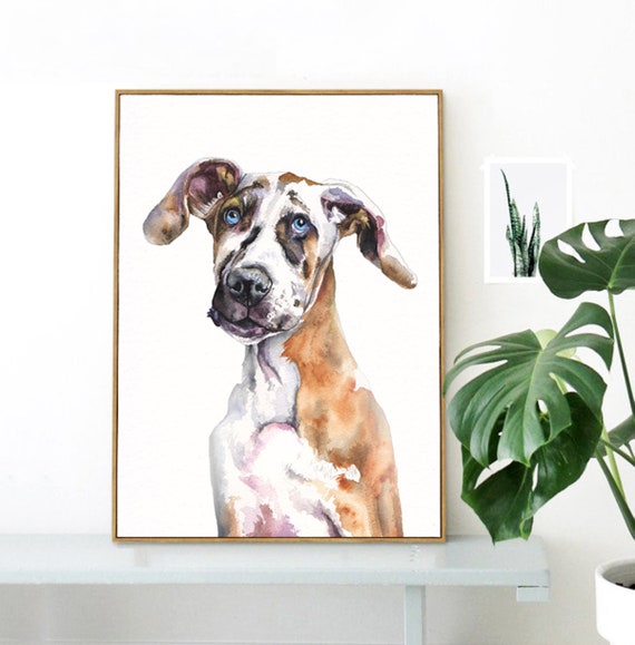 fawnequin great dane puppies