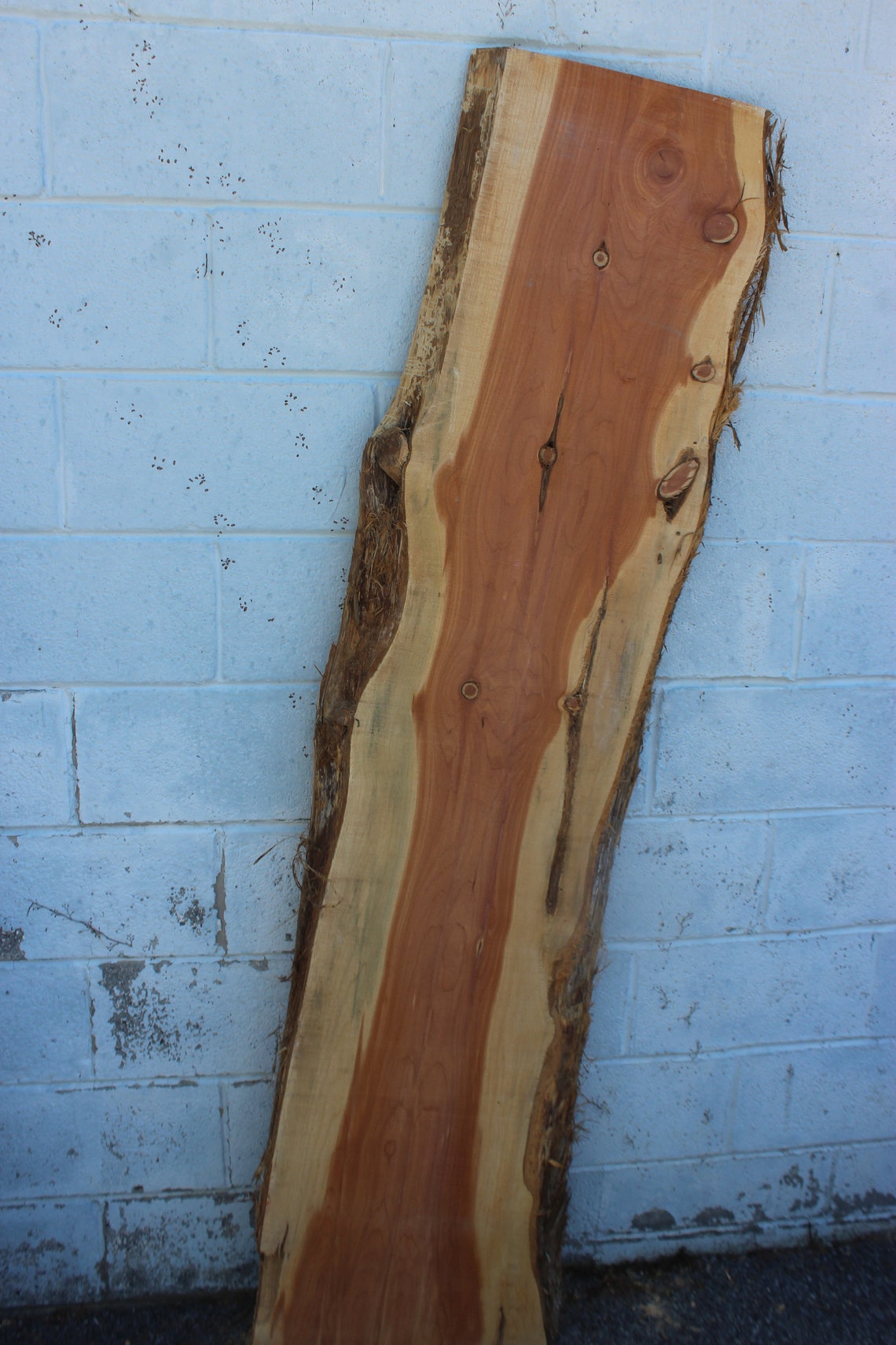 Large Live Edge Red Cedar Slab Rustic 72 inches Etsy
