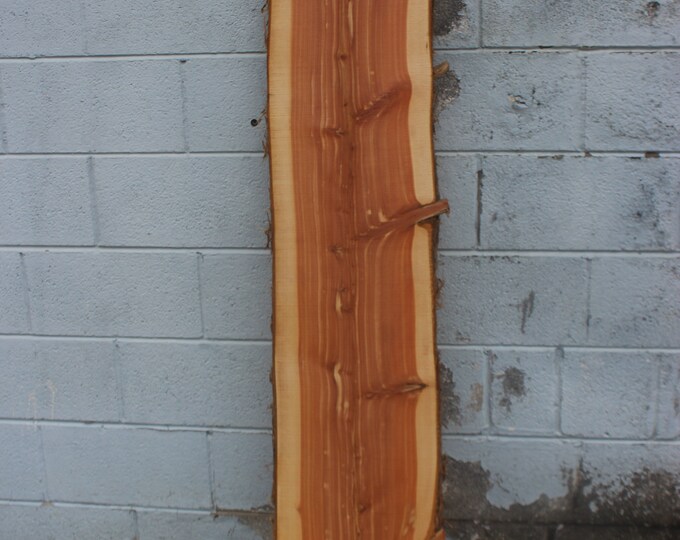 Large Red Cedar Slab Live Edge Thick Rustic Plank Raw Live Edge 72 inches
