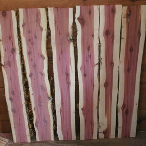 Six Red Cedar Live Edge Slabs  Six 48 inches